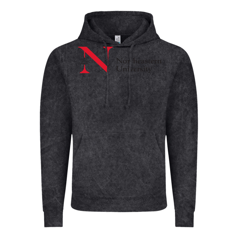The The Northeastern Vintage Hoodie by linhVisuals | Teevron