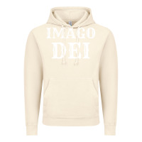 Vintage Artic imago dei image of god christian t shirt reformed jesus Vintage Hoodie - linhVisuals