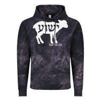 Isaiah 53 Lamb Yeshua Jesus T Shirt Vintage Hoodie | Teevron