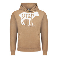 Vintage Coffee isaiah 53 lamb yeshua jesus t shirt Vintage Hoodie - linhVisuals