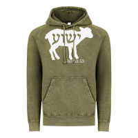 Vintage Olive isaiah 53 lamb yeshua jesus t shirt Vintage Hoodie - linhVisuals
