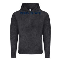 Vintage Black Nittany lions, PSU,  athletics gear Vintage Hoodie - linhVisuals