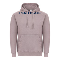 Vintage Zinc Nittany lions, PSU,  athletics gear Vintage Hoodie - linhVisuals