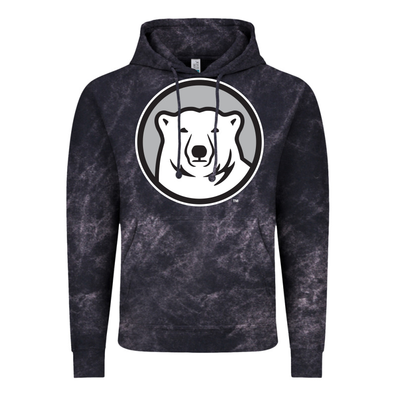 Bowdoin College Vintage Hoodie by linhVisuals | Teevron