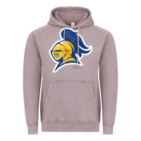 Vintage Zinc Carleton College Vintage Hoodie - linhVisuals