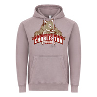 Vintage Zinc charleston cougars Vintage Hoodie - linhVisuals