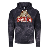 Charleston Cougars Vintage Hoodie | Teevron
