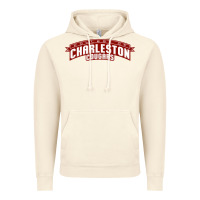 Vintage Artic charleston cougars Vintage Hoodie - linhVisuals
