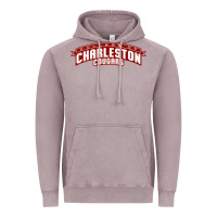 Vintage Zinc charleston cougars Vintage Hoodie - linhVisuals