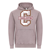 Vintage Zinc charleston cougars Vintage Hoodie - linhVisuals