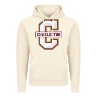 Vintage Artic charleston cougars Vintage Hoodie - linhVisuals