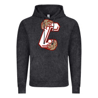 Vintage Black charleston cougars Vintage Hoodie - linhVisuals