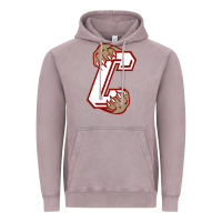 Vintage Zinc charleston cougars Vintage Hoodie - linhVisuals