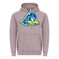 Vintage Zinc delaware blue hens Vintage Hoodie - linhVisuals