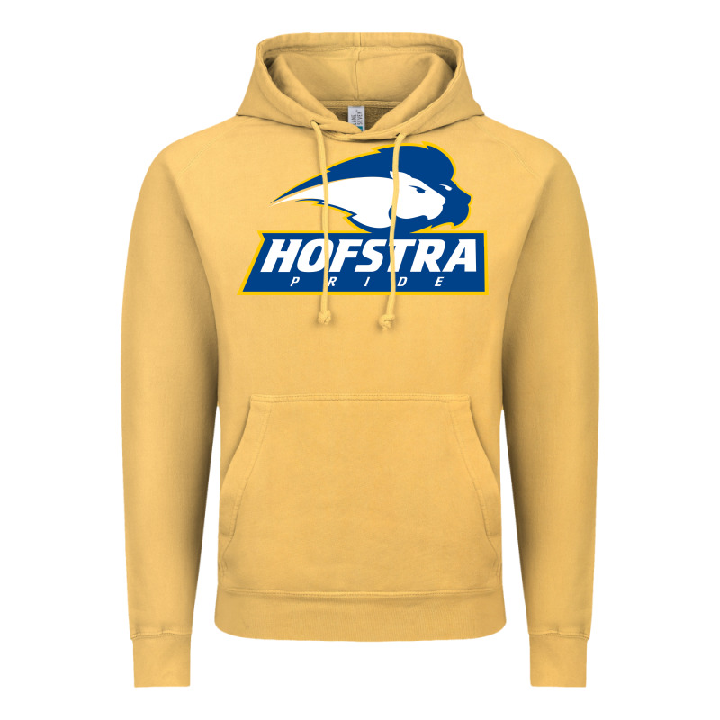 Hofstra Pride Vintage Hoodie by linhVisuals | Teevron