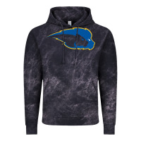 Hofstra Pride Vintage Hoodie | Teevron