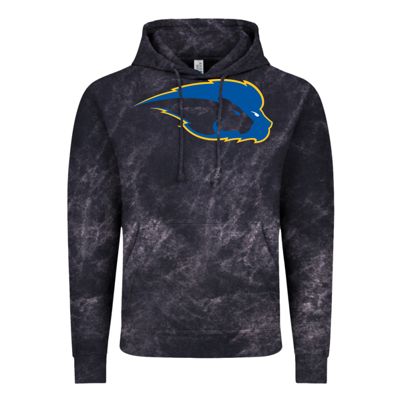 Hofstra Pride Vintage Hoodie by linhVisuals | Teevron
