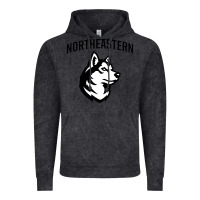 Vintage Black northeastern huskies Vintage Hoodie - linhVisuals