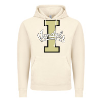 Vintage Artic idaho vandals Football team Vintage Hoodie - linhVisuals
