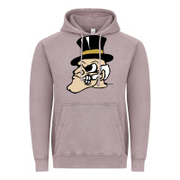 Vintage Zinc wake forest demon deacons Vintage Hoodie - linhVisuals