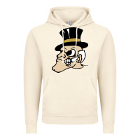 Vintage Artic wake forest demon deacons Vintage Hoodie - linhVisuals