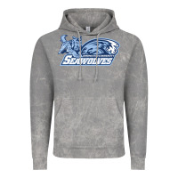 Cloud Rock sonoma state seawolves Vintage Hoodie - linhVisuals