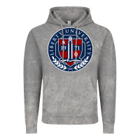 Cloud Rock liberty university seal Vintage Hoodie - linhVisuals