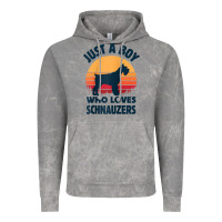 Cloud Rock schnauzer just a boy who loves dogs men retro vintage sunset raglan ba Vintage Hoodie - linhVisuals