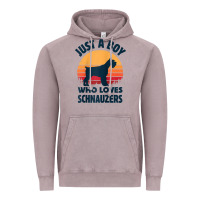 Schnauzer Just A Boy Who Loves Dogs Men Retro Vintage Sunset Raglan Ba Vintage Hoodie | Teevron