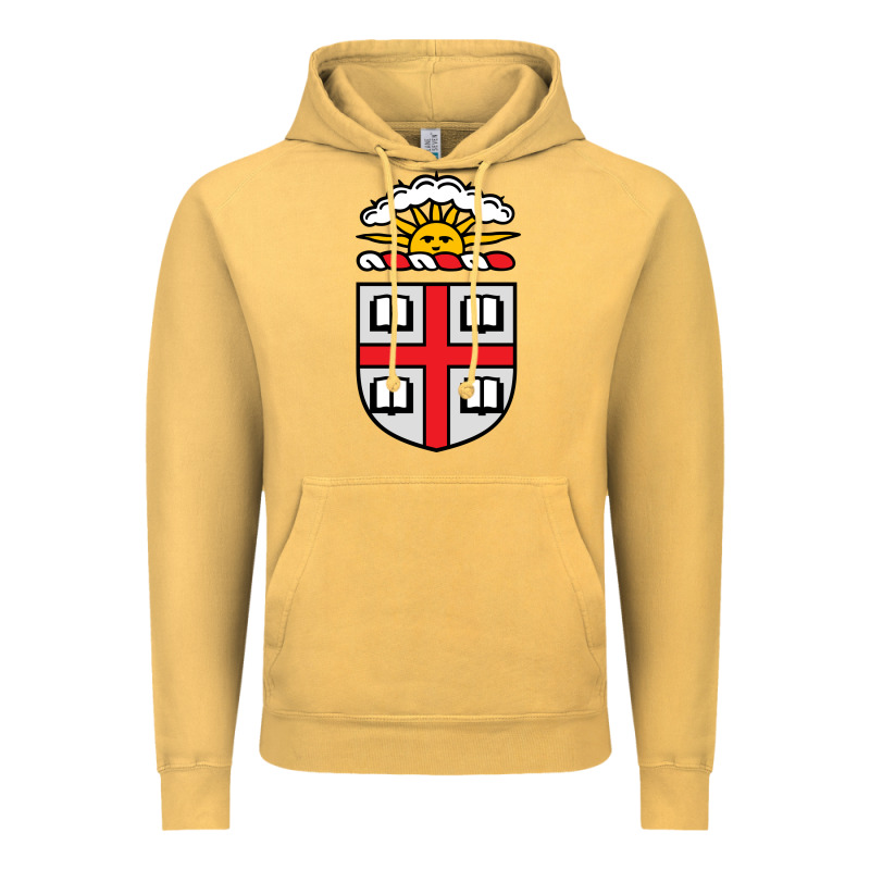 Brown University Coat Of Arms Vintage Hoodie by linhVisuals | Teevron