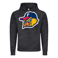 Vintage Black toledo-mud-hens Vintage Hoodie - linhVisuals