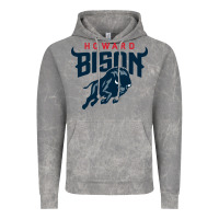 Cloud Rock howard bison Vintage Hoodie - linhVisuals