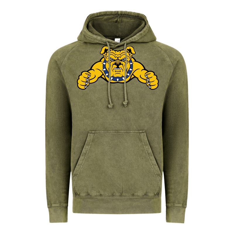 North Carolina A&t Aggies Vintage Hoodie by linhVisuals | Teevron