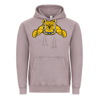 Vintage Zinc north carolina a&t aggies Vintage Hoodie - linhVisuals