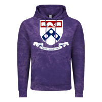 Cloud Purple upenn shield with banner Vintage Hoodie - linhVisuals