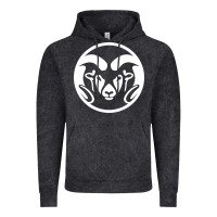 Vintage Black colorado state rams Vintage Hoodie - linhVisuals