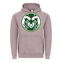 Vintage Zinc colorado state rams Vintage Hoodie - linhVisuals