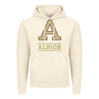 Vintage Artic albion college athleticpurple Vintage Hoodie - linhVisuals