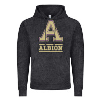 Vintage Black albion college athleticpurple Vintage Hoodie - linhVisuals
