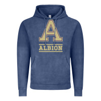 Vintage Denim albion college athleticpurple Vintage Hoodie - linhVisuals