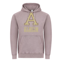 Vintage Zinc albion college athleticpurple Vintage Hoodie - linhVisuals