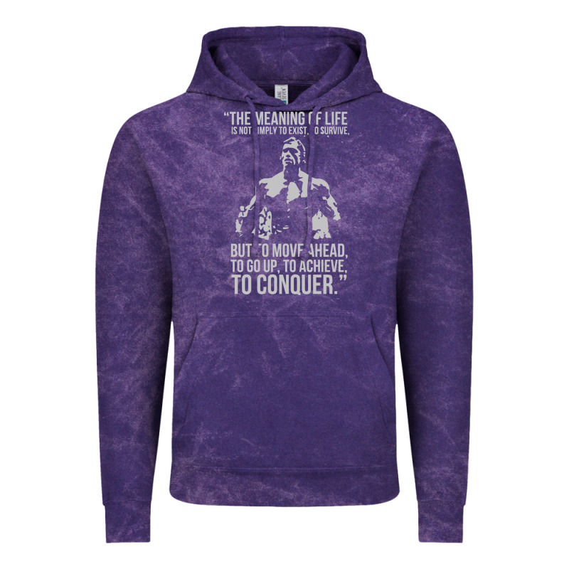 Schwarzenegger Arnie Vintage Hoodie by linhVisuals | Teevron