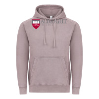 Vintage Zinc albright college vectorized Vintage Hoodie - linhVisuals