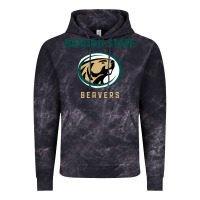 Cloud Black bemidji state beavers, gear Vintage Hoodie - linhVisuals