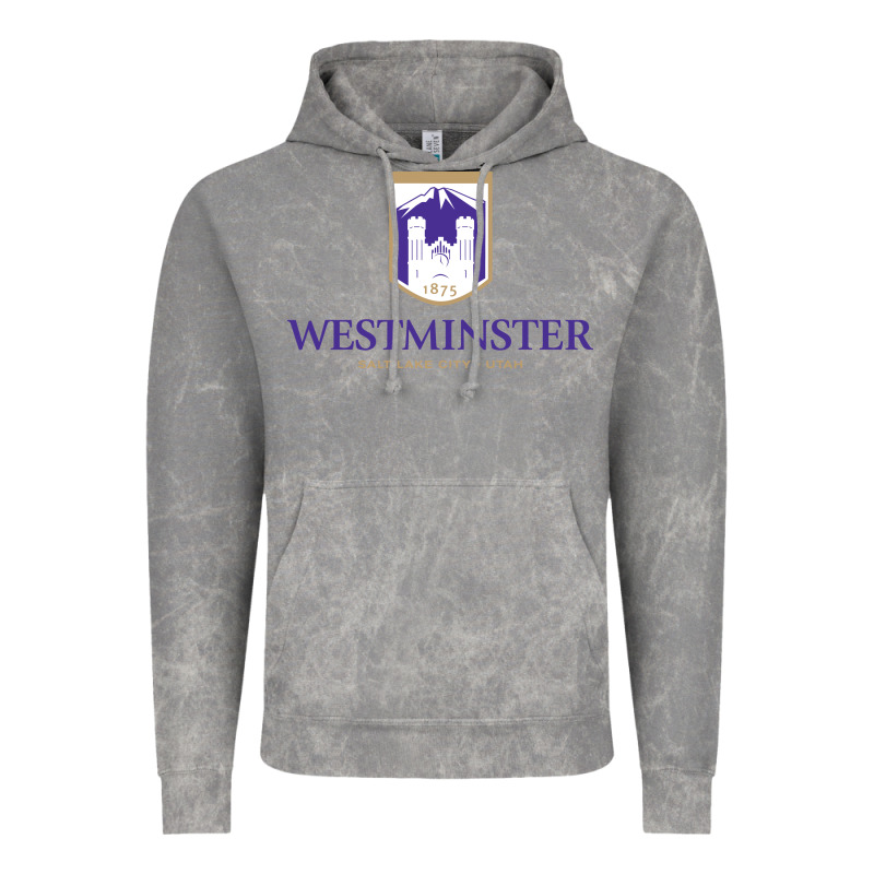 Westminster, Sudies In Utah Vintage Hoodie by linhVisuals | Teevron