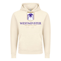 Vintage Artic westminster, sudies in utah Vintage Hoodie - linhVisuals