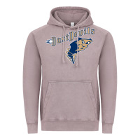 Vintage Zinc tri city dust baseball Vintage Hoodie - linhVisuals