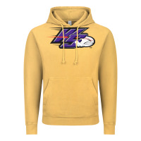 Winston Salem Dash Vintage Hoodie | Teevron