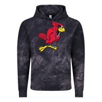 Cloud Black illinois state redbirds Vintage Hoodie - linhVisuals
