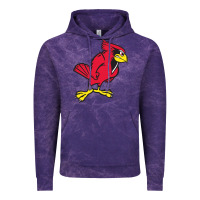 Illinois State Redbirds Vintage Hoodie | Teevron